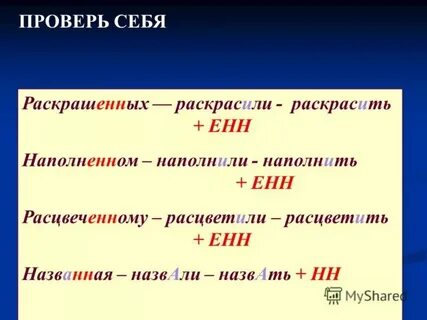 Длиною в год как пишется