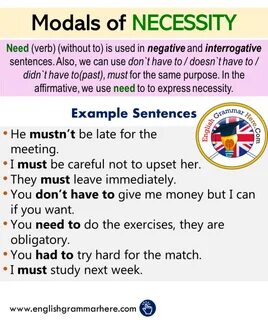 Modal verbs example sentences