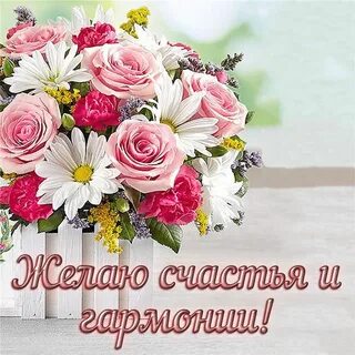 Лучшие букеты цветов хорошего дня