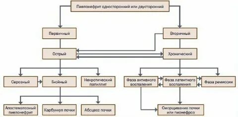 Пиелонефрит после переохлаждения