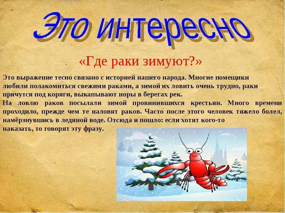 Там раки зимуют. Gde Raki thimyut. Фразеологизмы про зиму. Фразеологизмы о зиме с картинками. Раки? (В подводных норах.