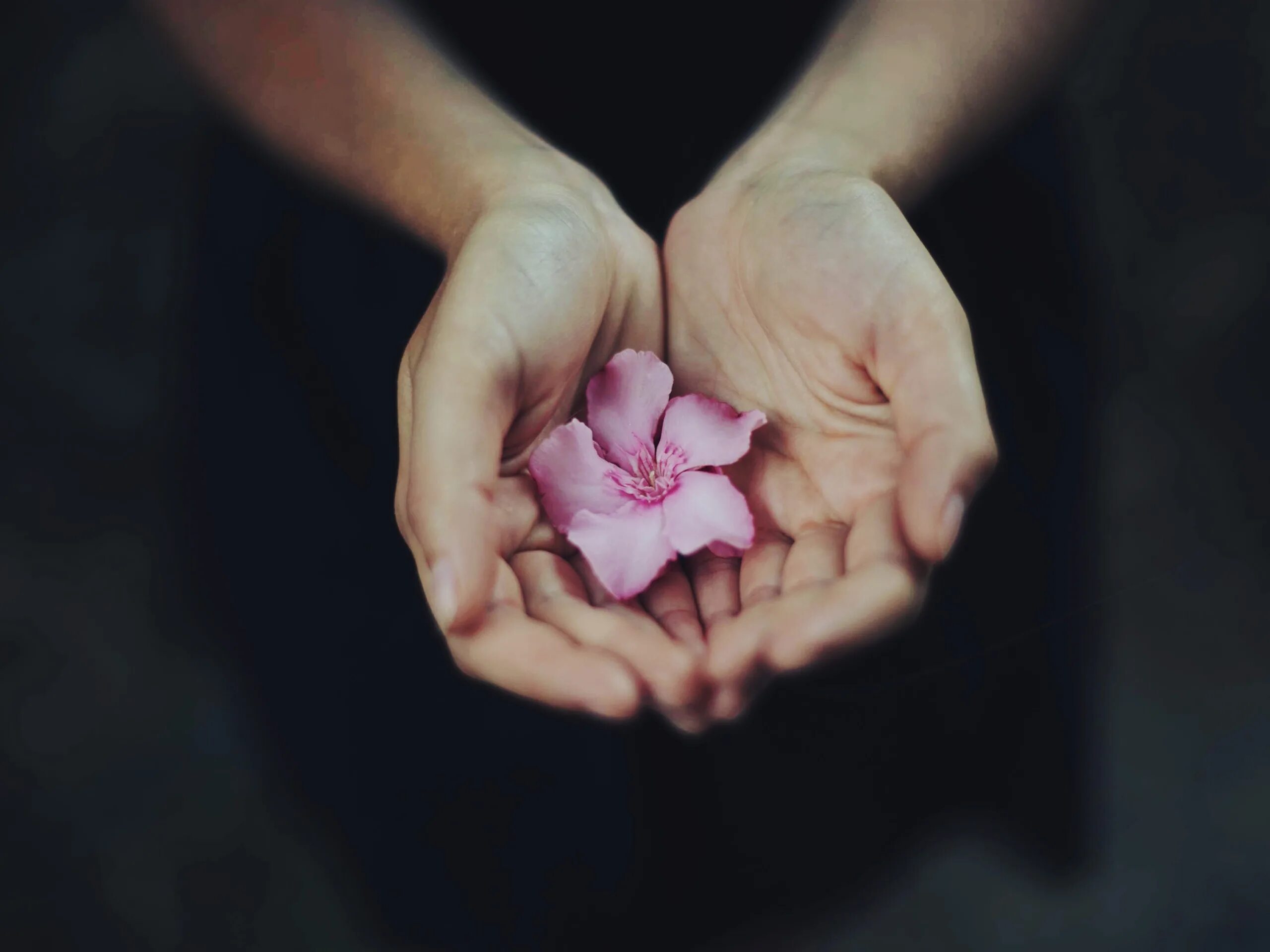 Почему руки розовые. Цветок на руку.. Цветочек в руке. Нежные цветы в руках. Цветы в ладонях.