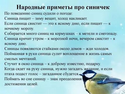 Голодные синички прилетели к кормушке выписать словосочетания