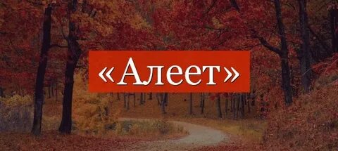 Аллея алый алеют заалел лишнее слово
