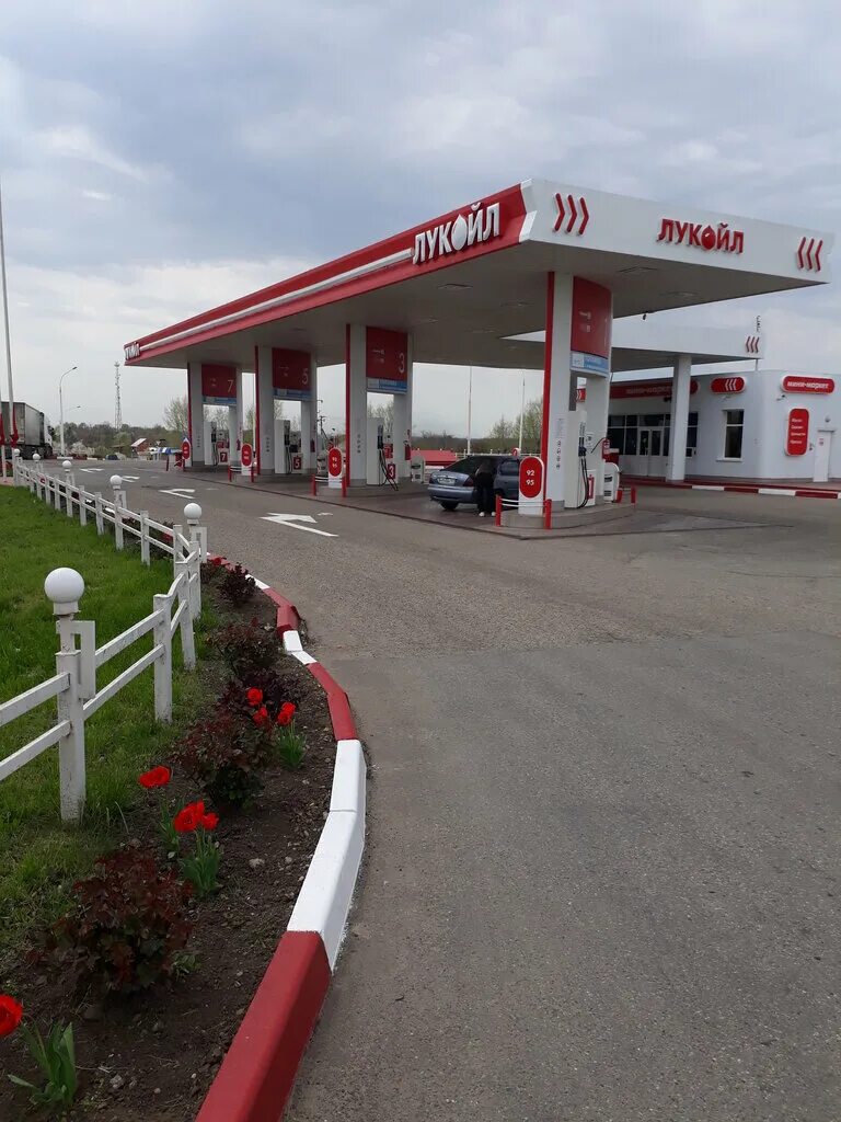 Азс лукойл краснодар. Лукойл краснодар. Азс лукойл краснодар. Лукойл краснодар. Заправка лукойл краснодарский край.