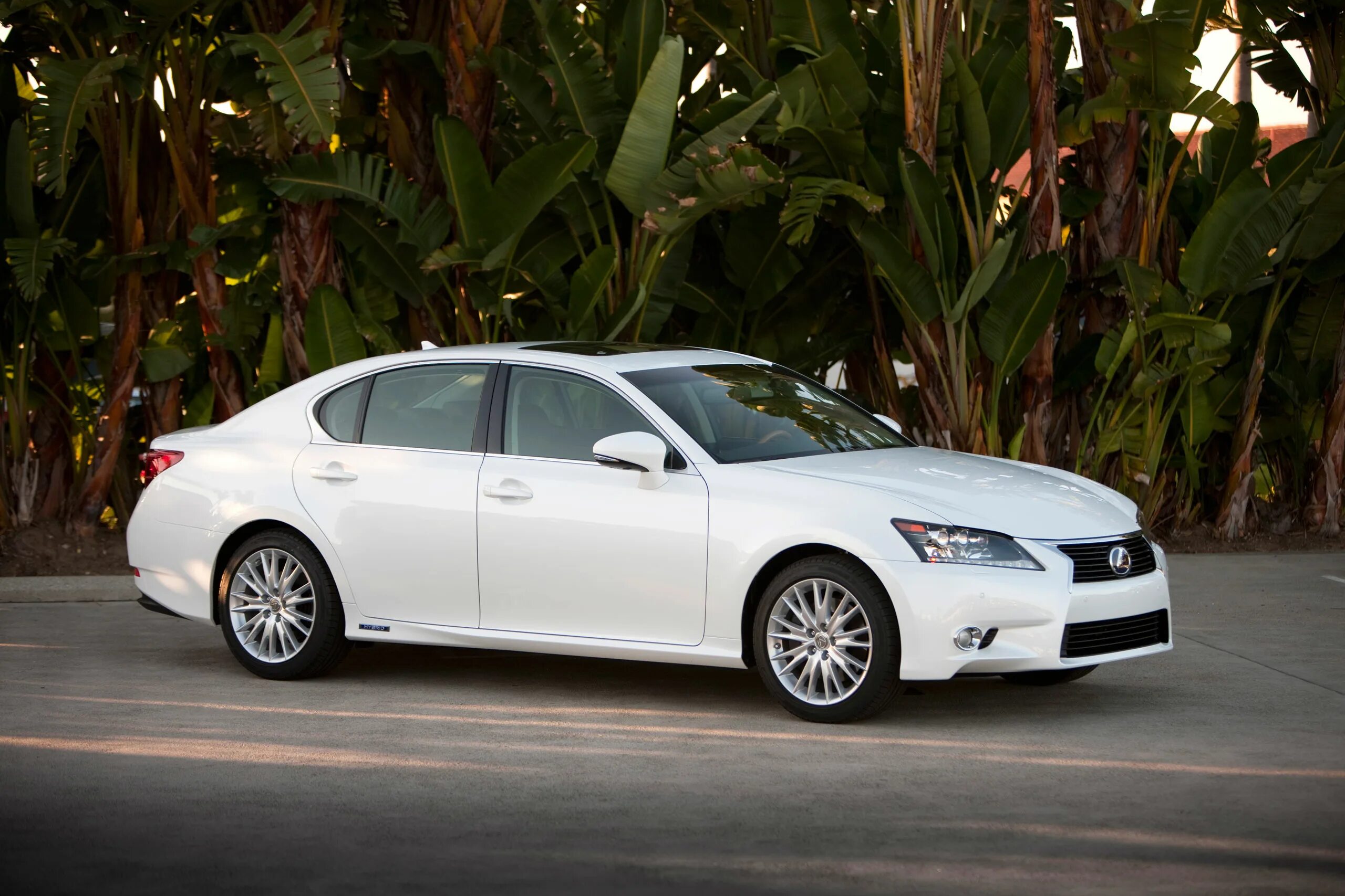 White gs
