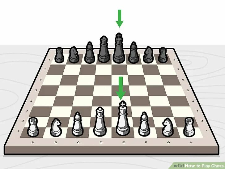 Поставь на 7 играть. Степ Чесс шахматы. Шахматы расстановка фигур. Расположение шахматных фигур. Расстановка шахматных фигур на шахматной доске.