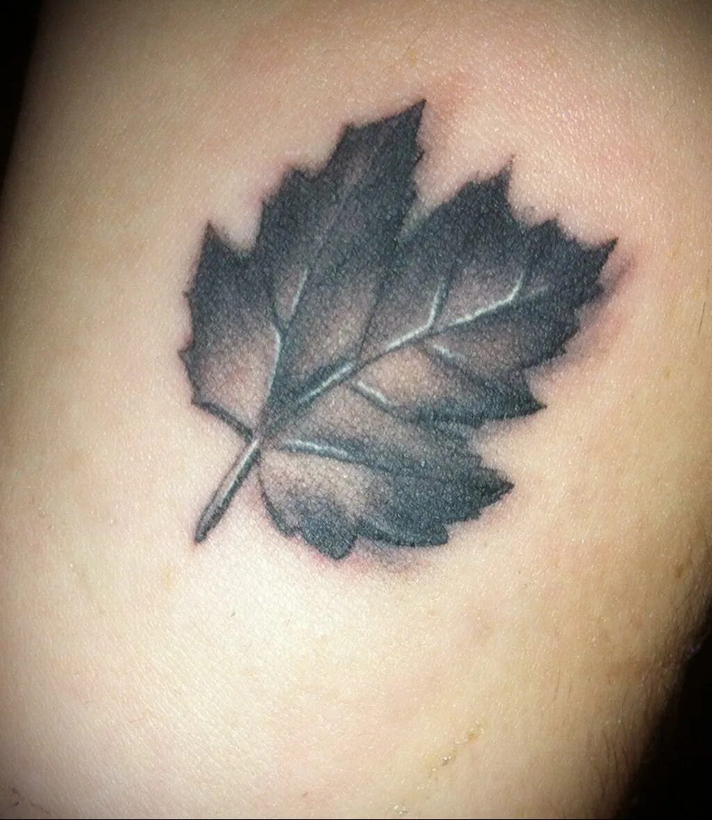 Тату зеленые листья. Тату кленовый лист мужские. Тату листья. Тату листья. Тату листик.