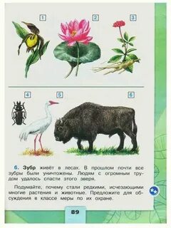 Окружающий мир 2 класс плешаков воздух