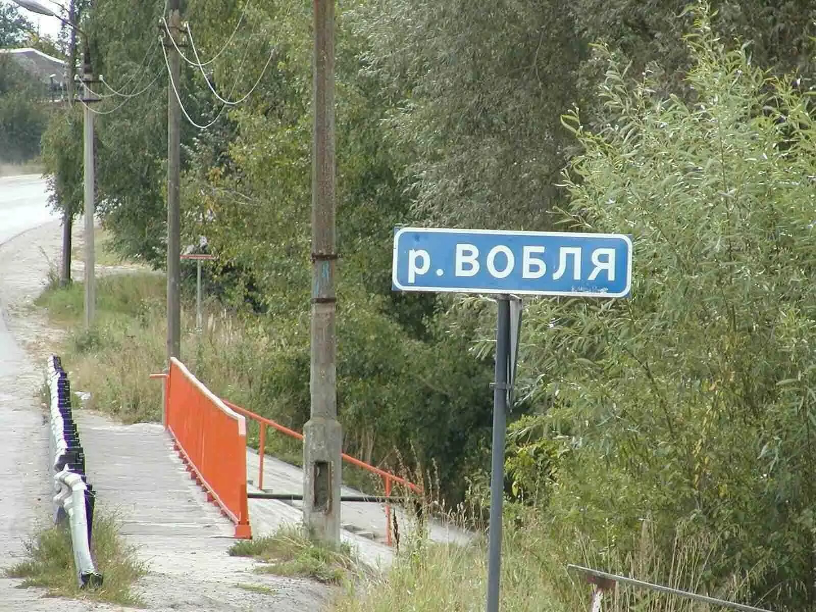 Река Вобля в Луховицах. Рязань, река Вобля. Река Вобля Луховицкий. Вобля река знак Луховицы. Какой здесь населенный пункт