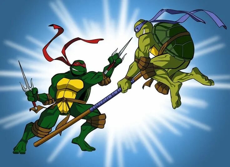 Turtle fight