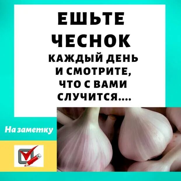 Ешьте чеснок каждый день. Чеснок каждый день. Если есть чеснок каждый. Есть чеснок каждый день что будет.