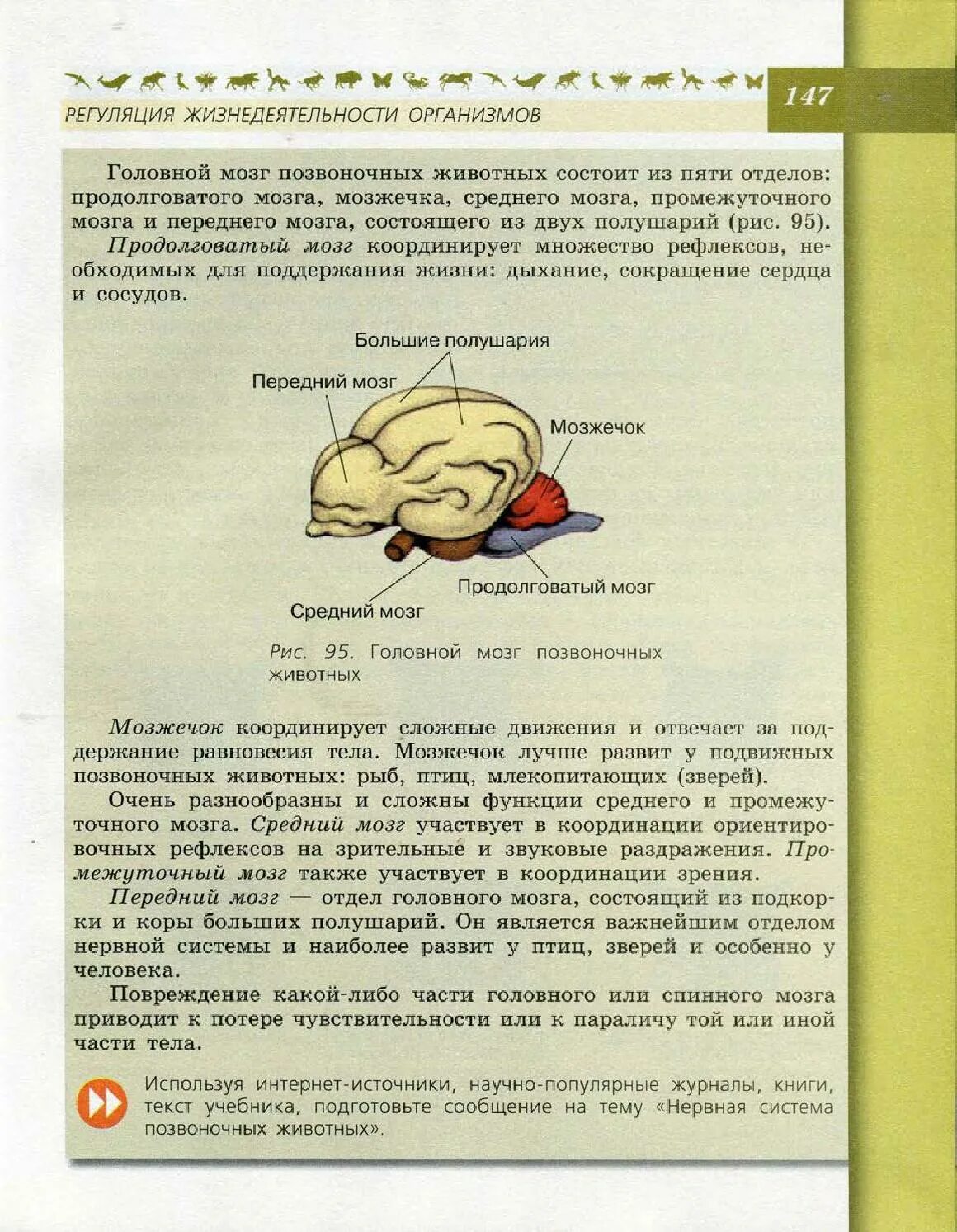 Биология мозга учебники. Головной мозг позвоночных животных. Биология 8 класс Пасечник головной мозг. Строение головы учебник биологии. Учебник по биологии 6 класс.