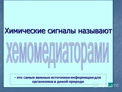 Химический сигнал
