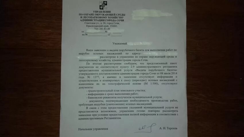 Заявление на спил деревьев образец. Ходатайство на спил деревьев. Обращение о спиле дерева. Заявление по спилу дерева во дворе. Ходатайство на вырубку деревьев.