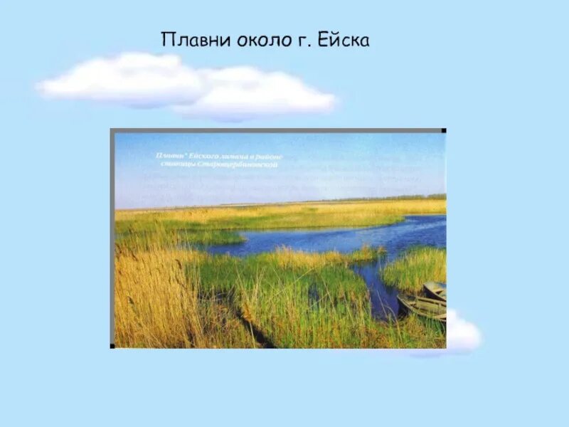 Описание плавней. Плавни схема. Плавни это в географии. Плавни это в географии схема. Плавни что это такое в географии кратко.