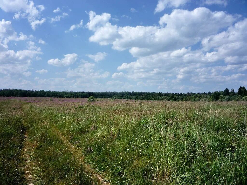 15 га в км. Город в 15 гектаров. Шатурский заказник. 10 гектар земли. 15 гектаров в метрах.