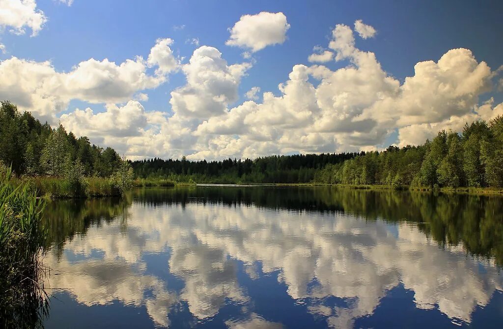 Ламбушки в Карелии. Озеро ржаное Карелия. Облака в реке. Река и небо.