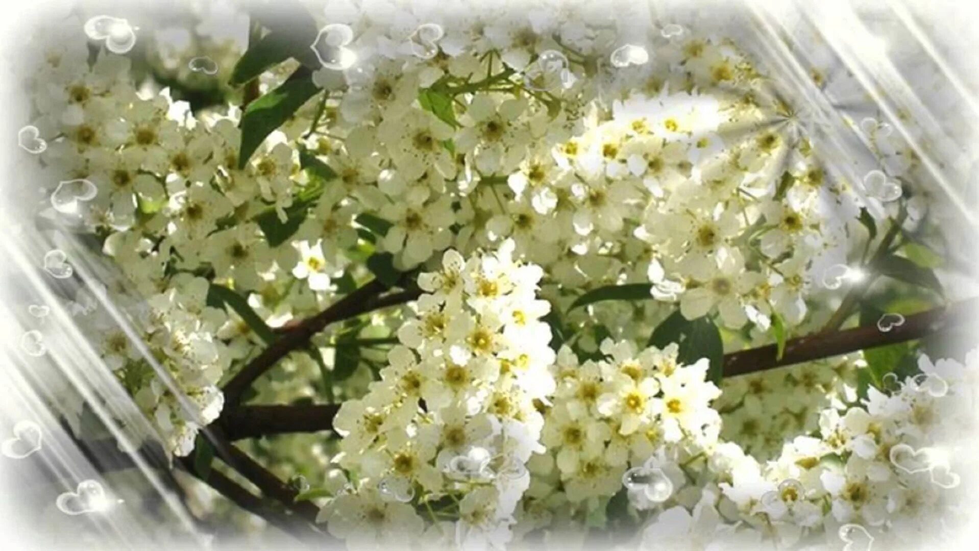 пахнет в воздухе весною и цветами