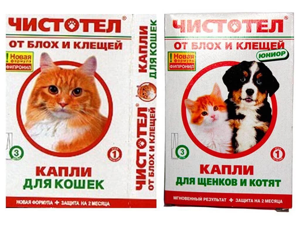 Чистотел от клещей для кошек. Капли от блох и клещей для собак и кошек. Чистотел капли от блох. Капли от блох для котят. Чистотел капли от блох для кошек.