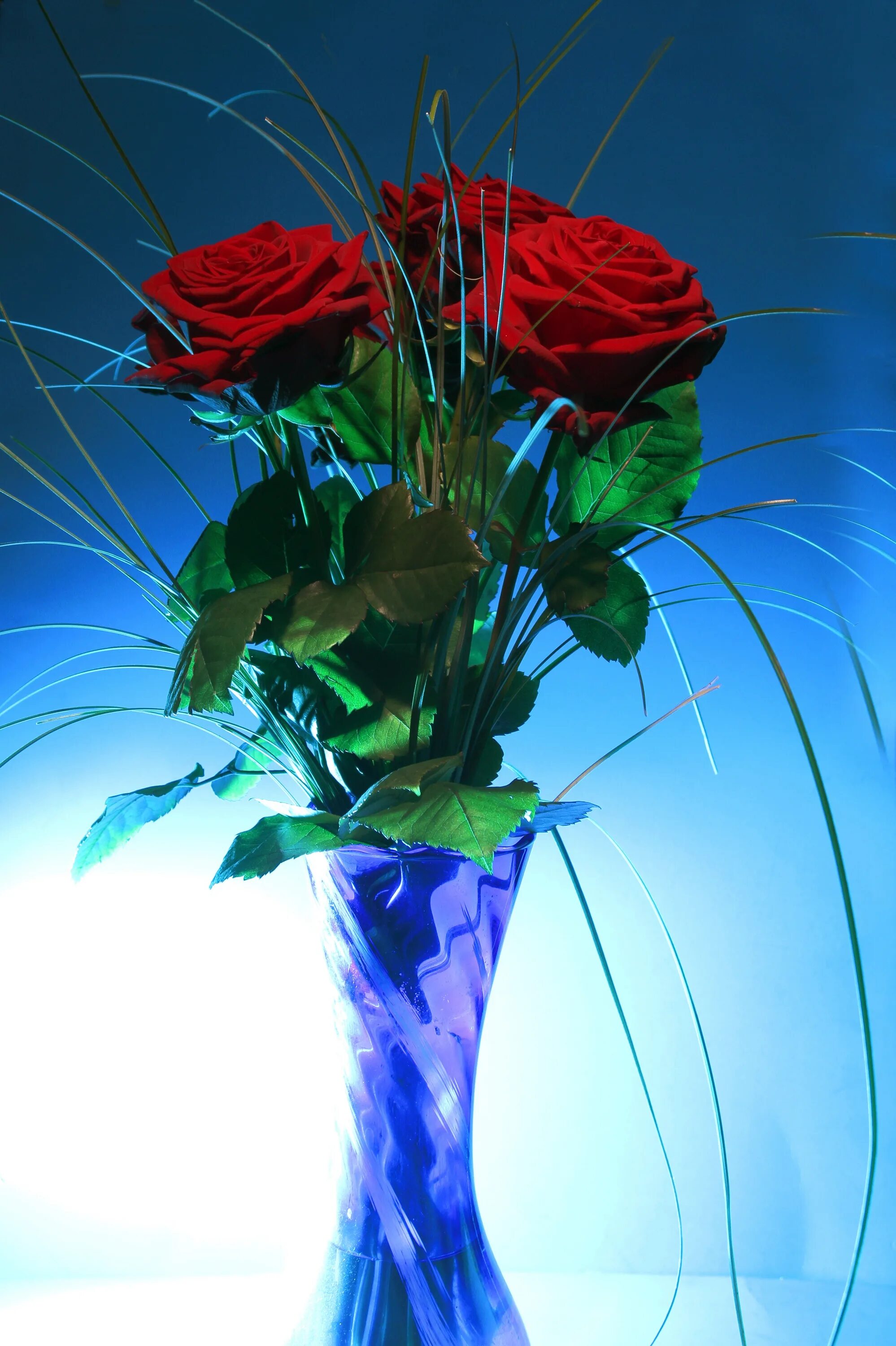 Если рассматривать красные розы через зеленое стекло. Цветы в вазе. Розы в вазе. Красивый букет цветов. Букет цветов в вазе.