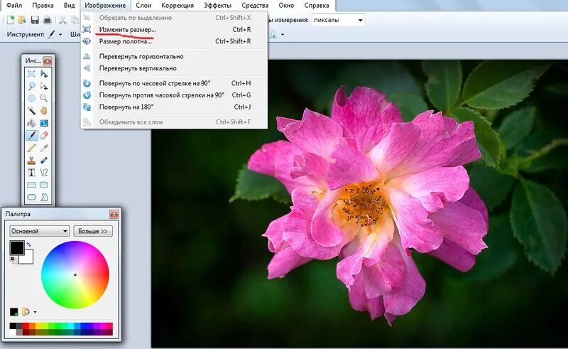 Обрезаем картинку в paint. Paint обрезать изображение. Картинки обрезанные по контуру. Как в пейнте обрезать картинку по контуру. Paint обрезать изображение.