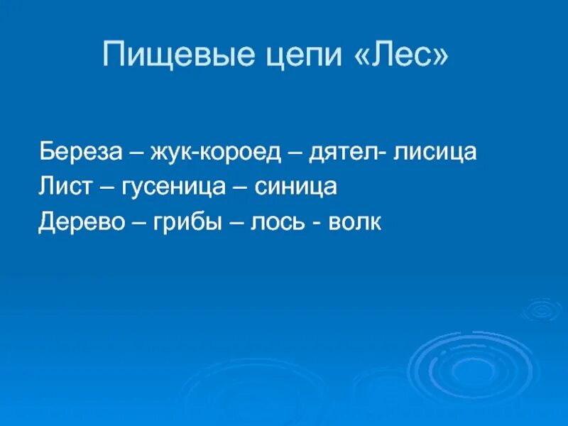 Цепь питания береза. Цепи питания характерные для лесного сообщества. Цепь питания береза. Цепь питания береза. Пастбищная цепь питания в еловом лесу.