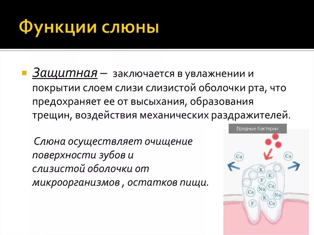 О чем говорит слюна. Защитная функция слюны. Функции слюны. Защитные свойства слюны. Защитные механизмы слюны.