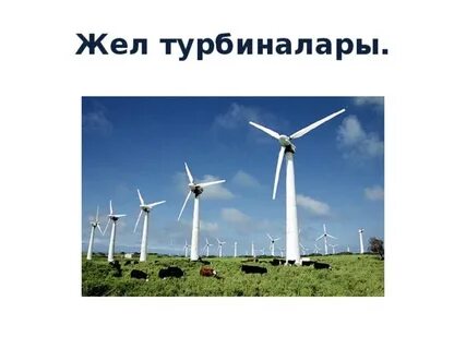 Қыздың қалпақшасы порно