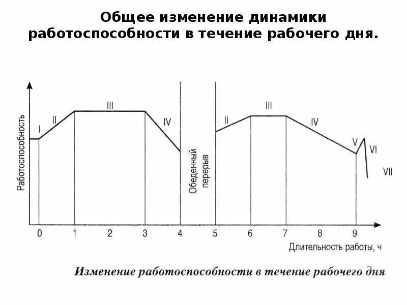В течении рабочего. Три фазы динамики работоспособности. примерная схема динамики оперативной работоспособности. суточная динамика работоспособности. динамика работоспособности в течение рабочего дня.