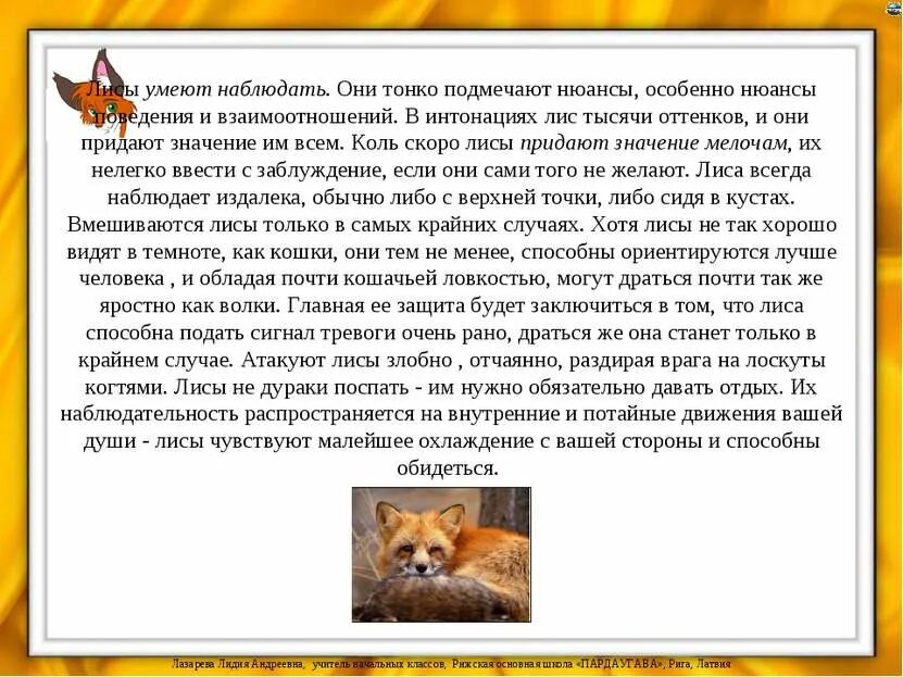 Часто приходилось мне наблюдать за выводком. Рассказ про лису. Сочинение про лисицу. Сочинение описание лисы. Рассказ описание про лису.