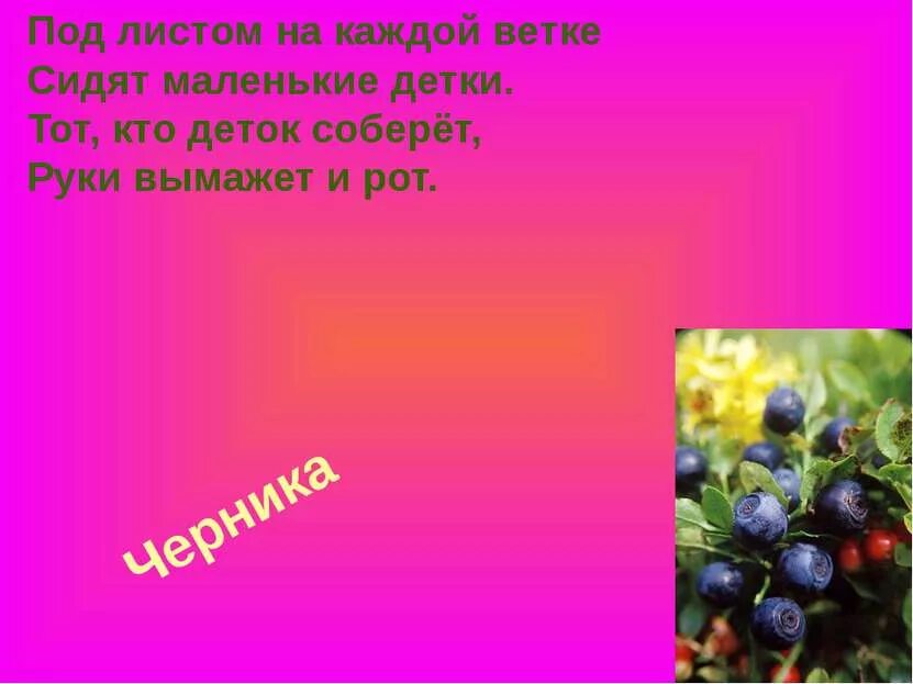 Сочный круглый яркий ароматный загадка ответ. Загадки про ягоды. ягодные загадки для детей. стих про чернику. загадка про чернику.