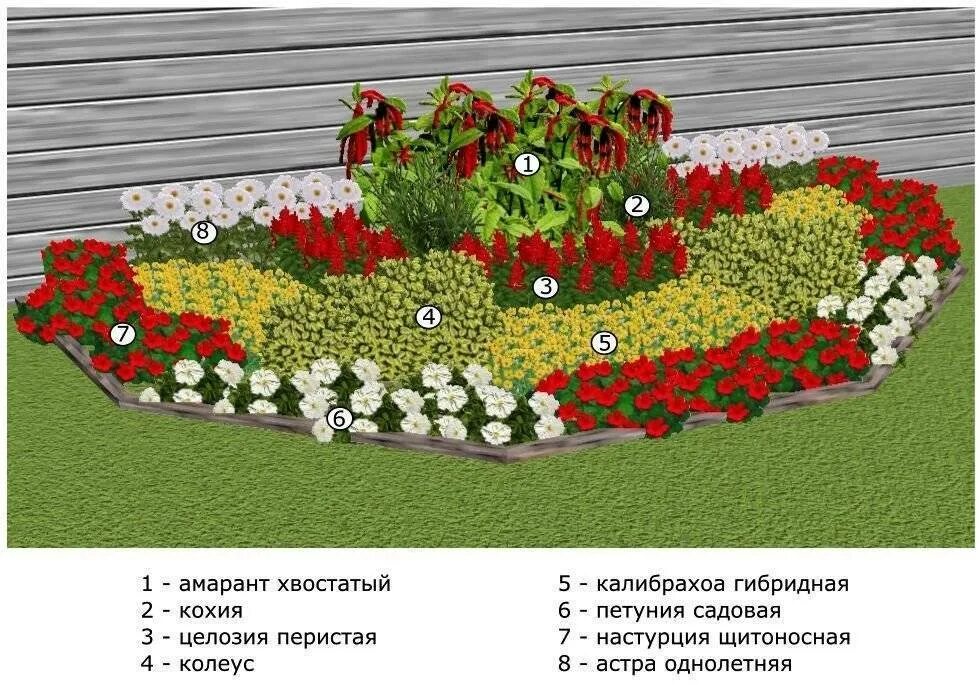 Цветник читать. Клумба из однолетников непрерывного цветения. клумба из однолетников непрерывного цветения схема. клумба непрерывного цветения из однолетников схема посадки. цветник из однолетников непрерывного цветения.