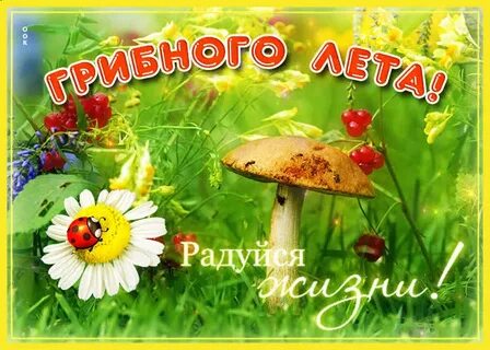 Занят в середине лета