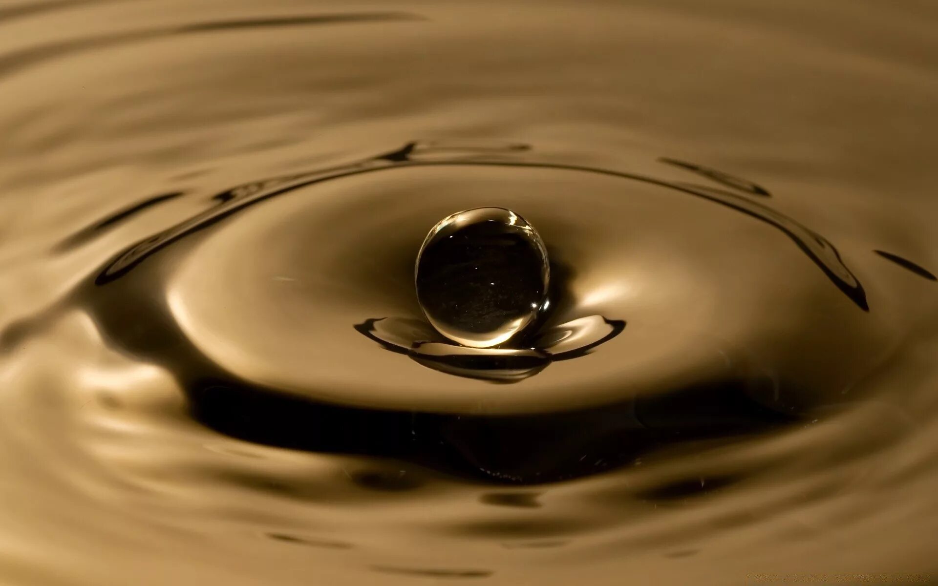 Дали капля воды. Капля. Капля воды. Красивая капля воды. Фотообои капли воды.