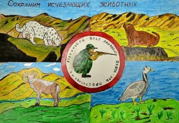 Как защитить вымирающих животных. Заповедники плакат. плакат на тему заповедник. плакат на тему защита животных. рисунок на тему заповедник.