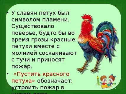 Слова кочет петух в южнорусских говорах пеун