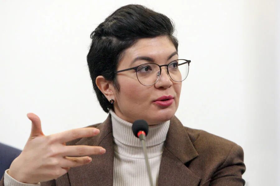 Представитель украины. Представитель президента украины ташева. представитель зеленского по крыму тамила ташева. ташева представитель президента украины в крыму. тамила ташева украина.