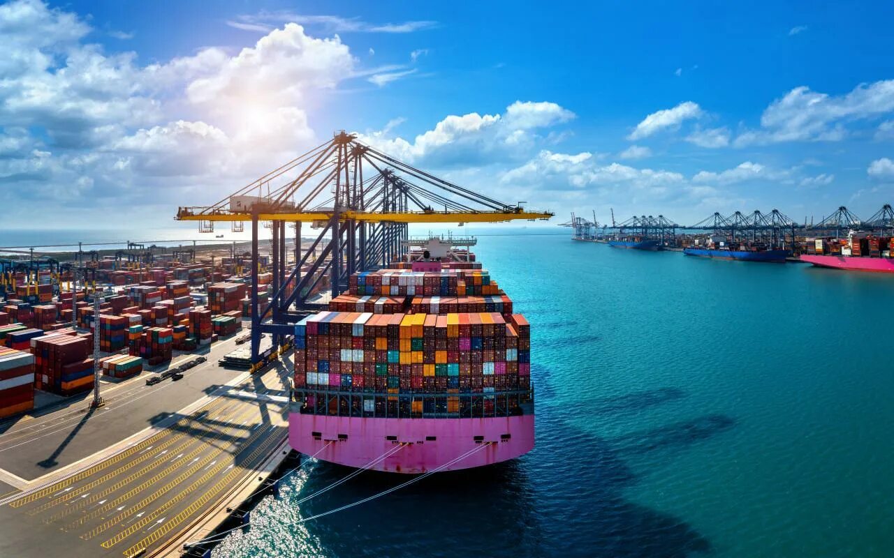 Delivery port. Delivery port