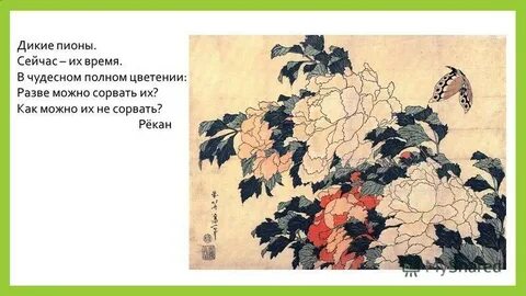 Чудесный полно