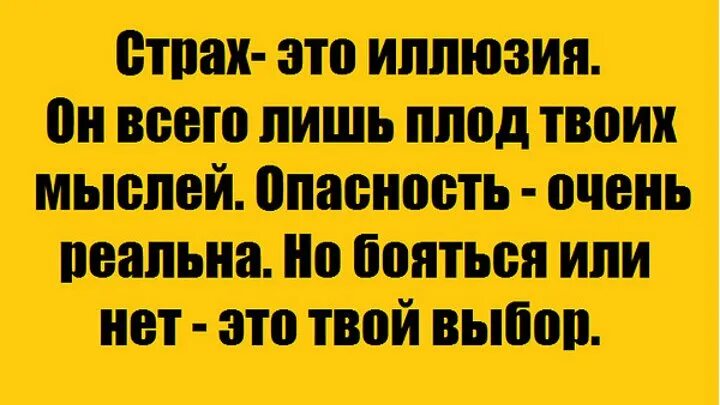 Шутки про диану смешные. Твои самый страх. Стих про диану смешной. Твои самый страх. Reykat brushes.