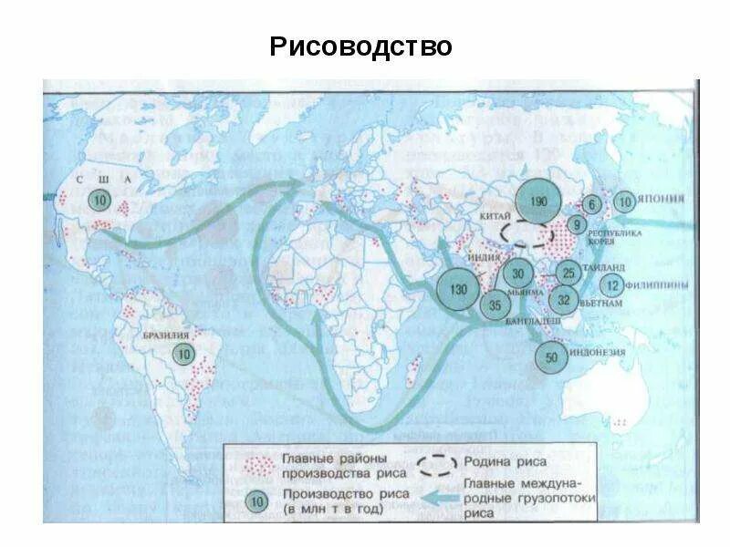 Рис главные страны. Основные районы посева риса в зарубежной Азии. Районы рисосеяния зарубежной Азии. Карта выращивания риса. Основные районы возделывания риса.