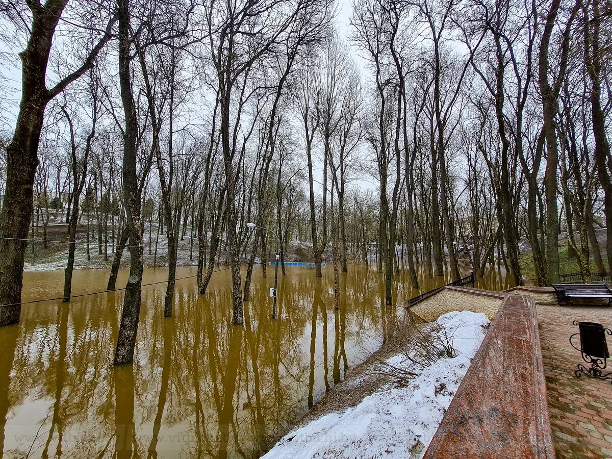 Витебск река. Река Даугава Западная Двина. Наводнение в Витебске. Пойма реки.