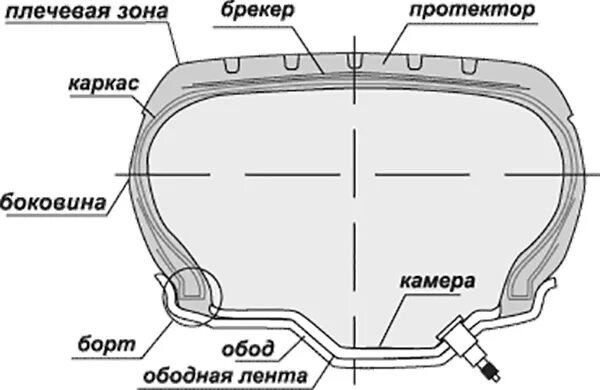Что означает разрез контура шин. Шина автомобиля. Боковой увод шины. Шина в разрезе с детализацией. Схема устройства автомобильной шины.