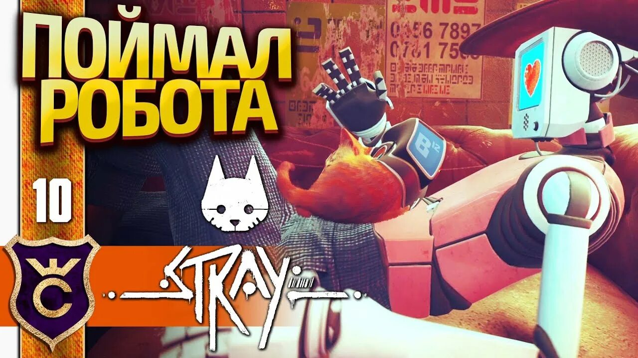Stray робот. Stray игра. stray роботы. игра про кота и роботов. stray игра про кота роботы.