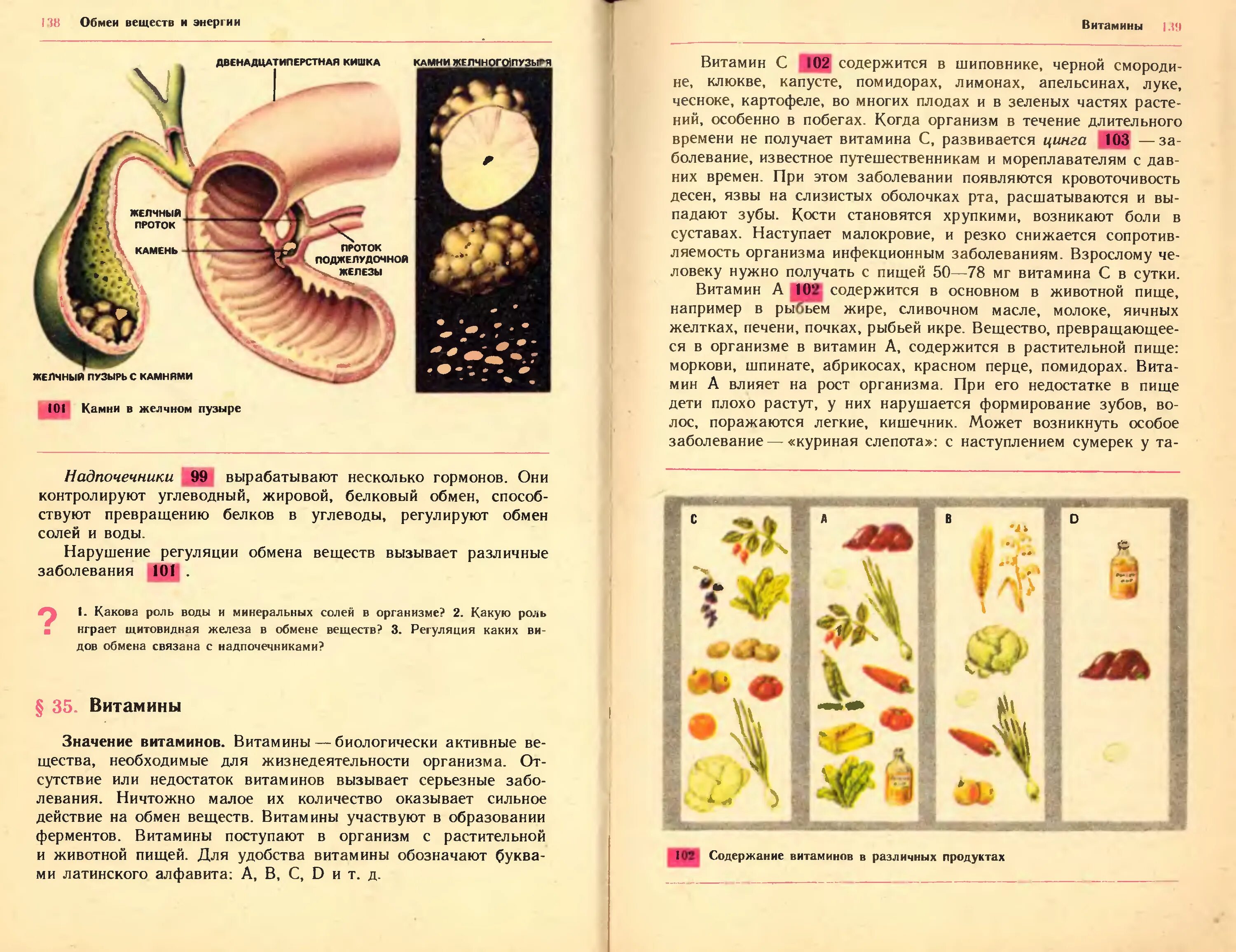 Биология 9 класс а.м Цузмер. Учебник биологии 9 класс Цузмер. Биология 9 класс учебник читать. Американские учебники по биологии. Биология 9 борисов