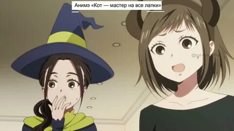 Мастер на все лапки