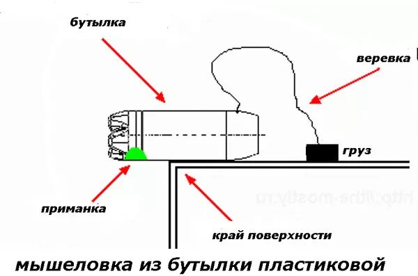 Чертежи деревянной мышеловки. Мышеловка чертеж. ЛОВУШКА для мышей своими руками. Мышеловка из пластиковой бутылки.