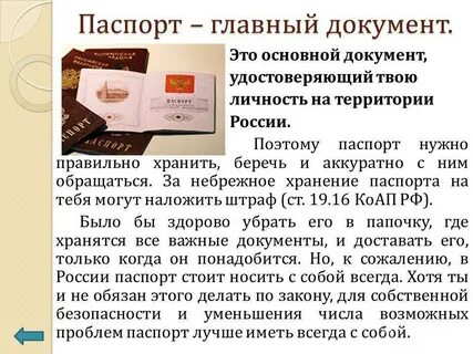 Получили главный документ