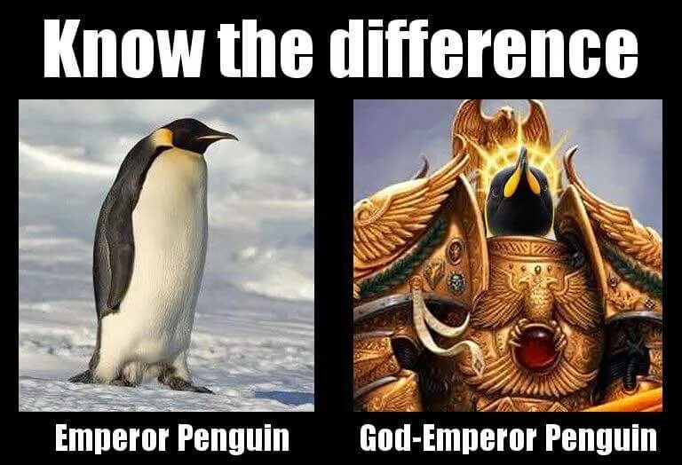 Пингвин вархаммер. Бог Пингвин. Император Пингвинчик. Know know Пингвин.